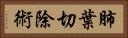 肺葉切除術 Horizontal Portrait