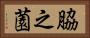 脇之薗 Horizontal Portrait