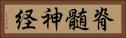 脊髄神経 Horizontal Portrait