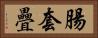 腸套疊 Horizontal Portrait