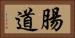 腸道 Horizontal Portrait