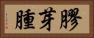 膠芽腫 Horizontal Portrait