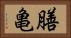 膳亀 Horizontal Portrait