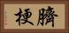臍梗 Horizontal Portrait