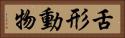 舌形動物 Horizontal Portrait
