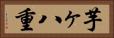 芋ヶ八重 Horizontal Portrait