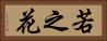 若之花 Horizontal Portrait