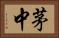 茅中 Horizontal Portrait