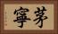 茅寧 Horizontal Portrait
