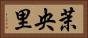 茉央里 Horizontal Portrait