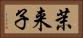 茉来子 Horizontal Portrait
