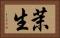 茉生 Horizontal Portrait
