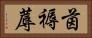 茵 Horizontal Portrait