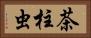 茶柱虫 Horizontal Portrait