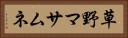 草野マサムネ Horizontal Portrait
