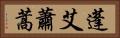 蓬 Horizontal Portrait