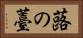 蕗の薹 Horizontal Portrait