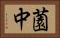 薗中 Horizontal Portrait