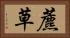 藨草 Horizontal Portrait