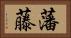 藩藤 Horizontal Portrait