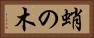 蛸の木 Horizontal Portrait