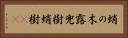 蛸の木 Horizontal Portrait