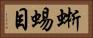 蜥蜴目 Horizontal Portrait