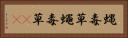 蝿毒草 Horizontal Portrait