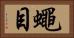 蠅目 Horizontal Portrait