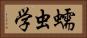 蠕虫学 Horizontal Portrait