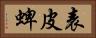 表皮蜱 Horizontal Portrait
