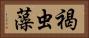 褐虫藻 Horizontal Portrait