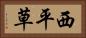 西平草 Horizontal Portrait