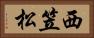 西笠松 Horizontal Portrait