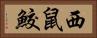西鼠鮫 Horizontal Portrait