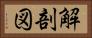 解剖図 Horizontal Portrait