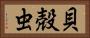 貝殻虫 Horizontal Portrait