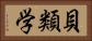 貝類学 Horizontal Portrait
