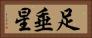 足垂星 Horizontal Portrait