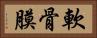 軟骨膜 Horizontal Portrait