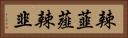 辣韮 Horizontal Portrait