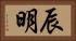 辰明 Horizontal Portrait