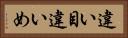 違い目 Horizontal Portrait