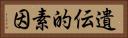遺伝的素因 Horizontal Portrait