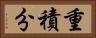 重積分 Horizontal Portrait