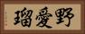 野愛瑠 Horizontal Portrait