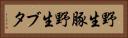 野生豚 Horizontal Portrait