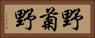 野菊野 Horizontal Portrait