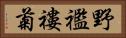 野襤褸菊 Horizontal Portrait