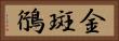 金斑鴴 Horizontal Portrait
